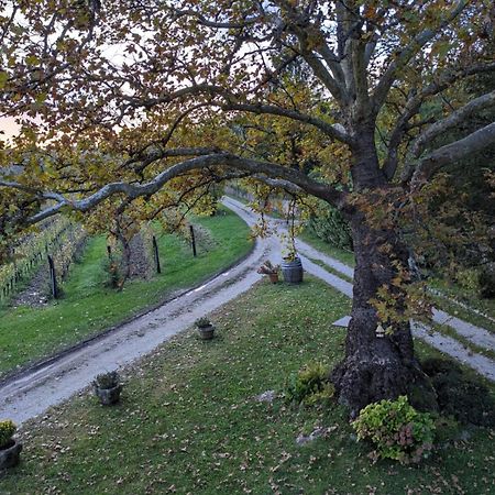 Hotel Castel San Mauro Gorizia Esterno foto