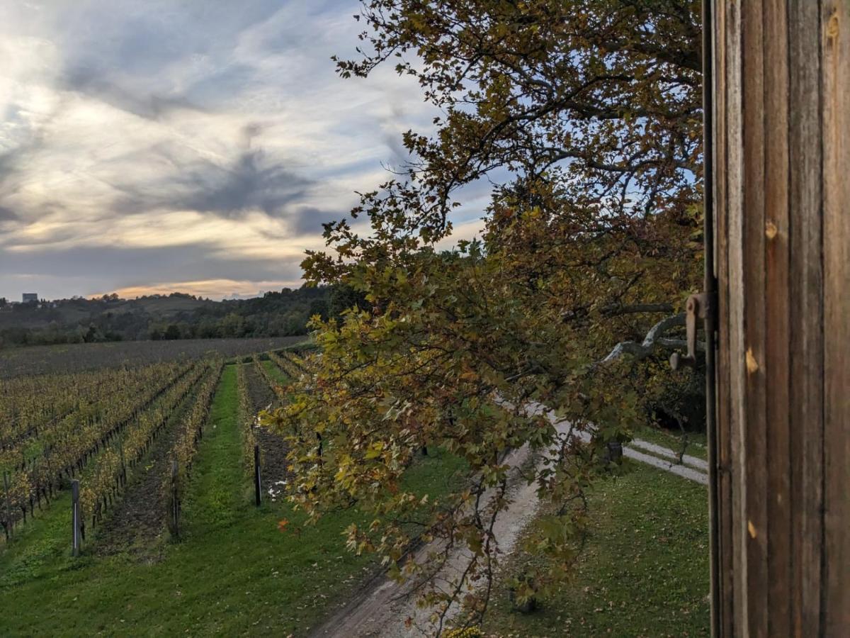 Hotel Castel San Mauro Gorizia Esterno foto